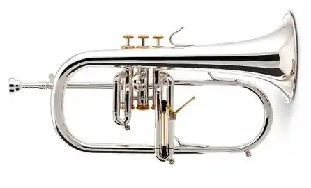 Sale Stomvi Elite 5926