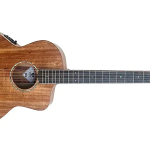 Schneller Versand Cole Clark SAN-1-EC-BLBL Blackwood