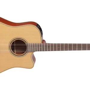 Takamine P3DC Dreadnought/C Softcase SH200A Top-Preis