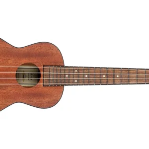 Expressversand Ortega Ukulele Concert Mahagoni RU4MM