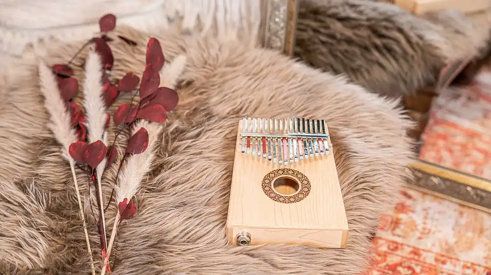 Finale Aktion Meinl PKL1709H Kalimba mit Pickup