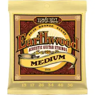 Schneller Versand Ernie Ball EB2002 Earthwood Medium