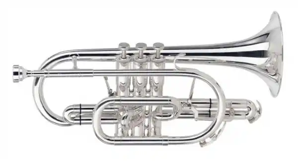 Kostenloser Rückversand Besson BE928G-2-0