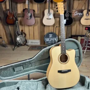 Lakewood D-35 Custom Dreadnought Heißes Angebot