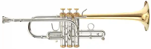 Neu Stomvi Master 5581