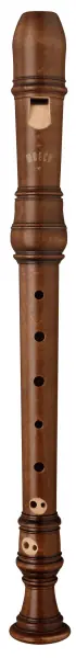 Knallerangebot Moeck Rottenburgh 4201
