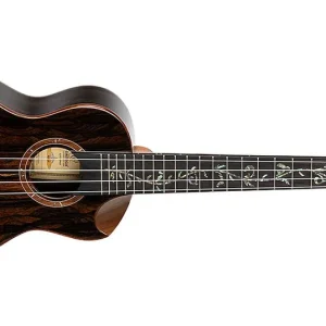 Heißes Angebot Ortega RUET-ZC Concert Ukulele
