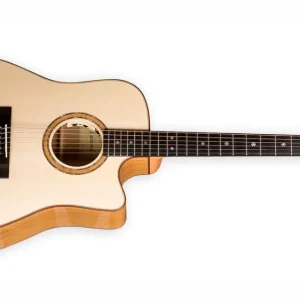 Lakewood D-35 CP Dreadnought Deluxe Serie L.R.Baggs Anthem Neue Ware