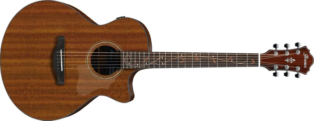 Ibanez AE295-LGS - Retoure Direktkauf