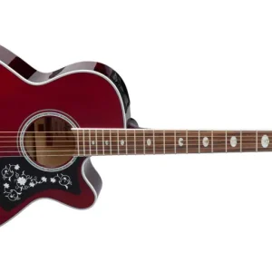 Online Kaufen Takamine GN75CE WR Westerngitarre