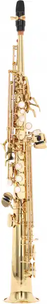 Top-Preis Yanagisawa S-WO1 Professional