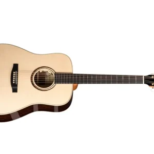 Lakewood D-53 Premium Cocobolo L.R.Baggs Anthem Expressversand