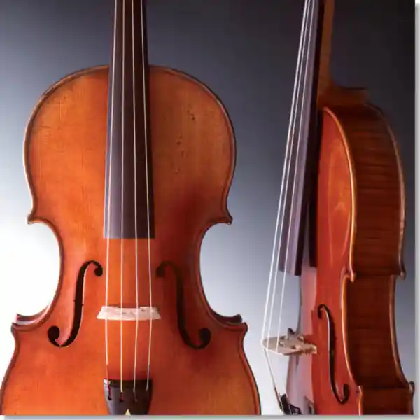 Neue Ware Sandner 901 Dominant 40,5 cm