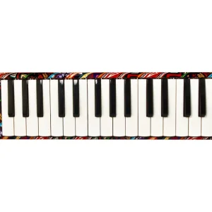 Hohner AirBoard 37 Melodica Versand Am Gleichen Tag