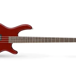 Cort Action PJ Bass Einsteiger SET Direkt Vom Hersteller