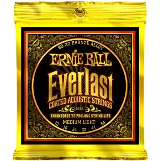 Ernie Ball EB2556 Everlast Acoustic Medium Light Echt