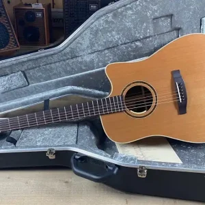Kostenloser Rückversand Lakewood D-18 CP Custom Dreadnought