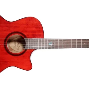 Randon RG-14CG-TRD Westerngitarre Gratis Versand