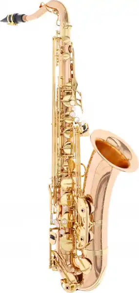 Yanagisawa T-WO20 Elite Versand Am Gleichen Tag