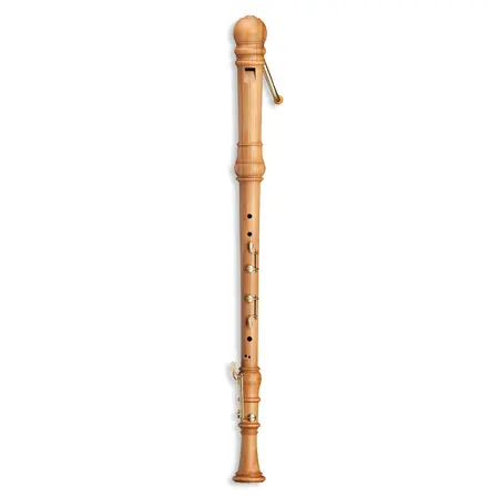 Mollenhauer Denner 5501 Sonderangebot