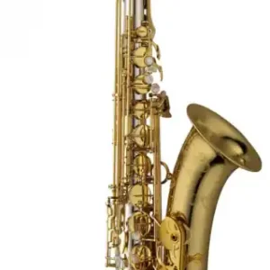 Yanagisawa T-WO30 Elite Beliebt