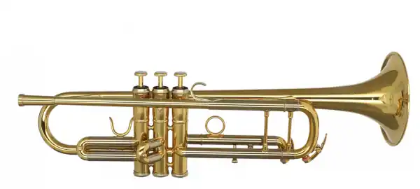 Kostenloser Versand Adams Sonic