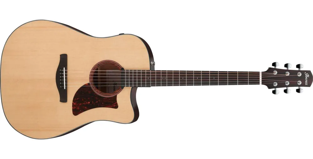 Ibanez AAD170CE-LGS Letzte Chance