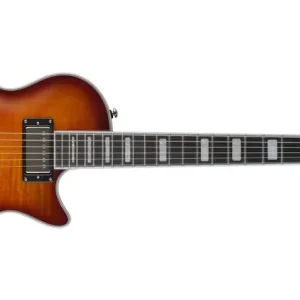 Hagstrom Ultra Max Golden Eagle Expressversand
