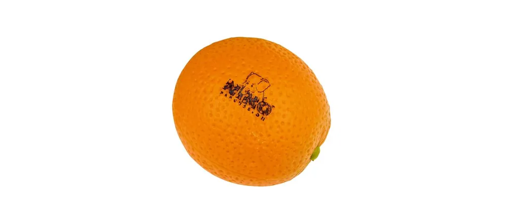 Nino Mandarine Shaker Neue Ware
