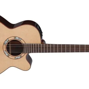 Angebot Takamine LTD 2020 Mosaic