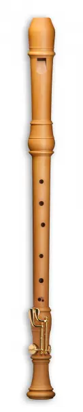 Super-Preis Mollenhauer Denner 5416