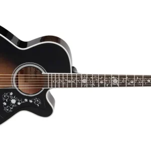 Takamine EF450CTTT Begrenztes Angebot