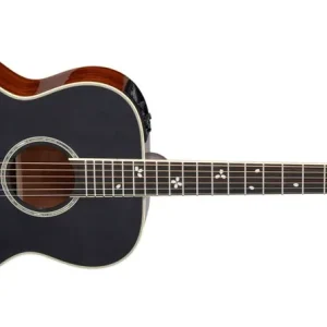 Aktuell Takamine LTD 2020 Yozakura