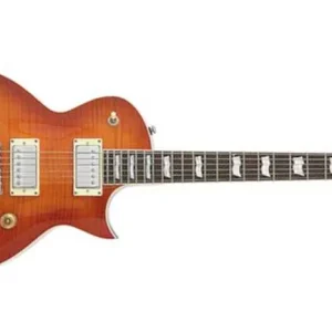 ESP LTD EC-256 FM FCSB E-Gitarre Schnäppchen