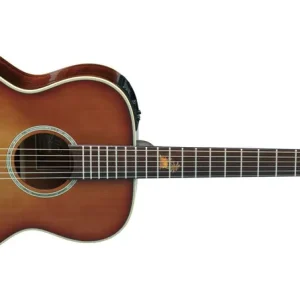 Angebot Takamine TF77PT
