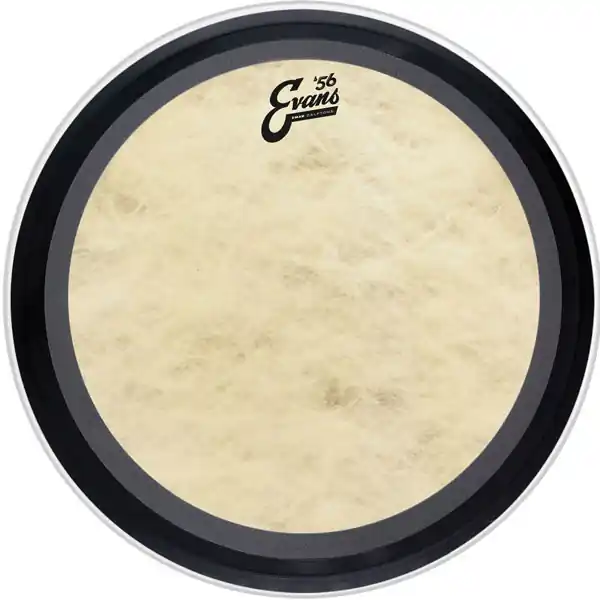 Ausverkauf Evans EMAD Calftone 22"