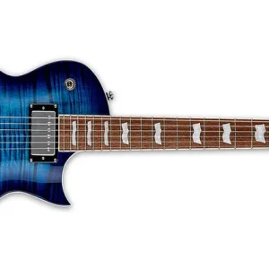 Sonderaktion ESP LTD EC-256FM CB