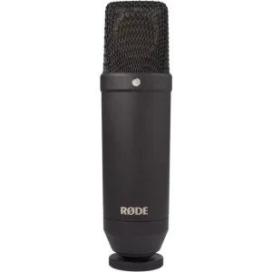 Saisonangebot Rode NT-1