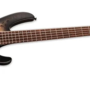 Direkt Vom Hersteller ESP LTD D-5 BLK NBS