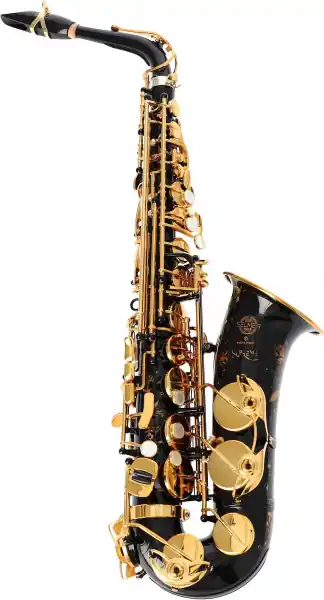 Selmer Supreme SE-ASUB Super-Preis