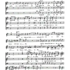 Kracherpreis Denk ich, Gott, an deine Güte für Sopran-Solo, gem Chor und Orgel