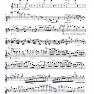 Zertifiziert Himmlische Idyllen für 3 Violinen, 3 Violen, 3 Violoncelli, Kontrabass und Orgel
