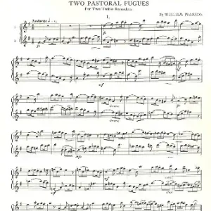 2 Pastoral Fugues / Andante affabile for 2 treble recorders Billig