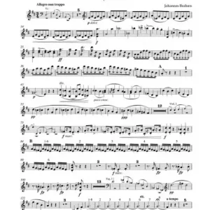 Konzert D-Dur op.77 für Violine und Orchester Must-Have
