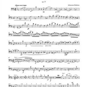 Solange Der Vorrat Reicht Konzert D-Dur op.77 für Violine und Orchester