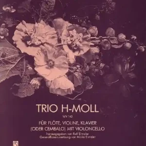 Gratis Versand Trio h-Moll für Flöte, Violine und Klavier