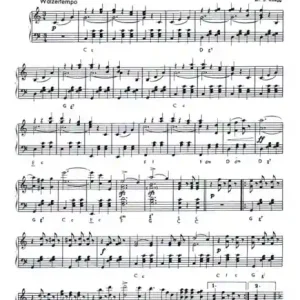 An der schönen blauen Donau op.314 Walzer für Akkordeon Beliebt