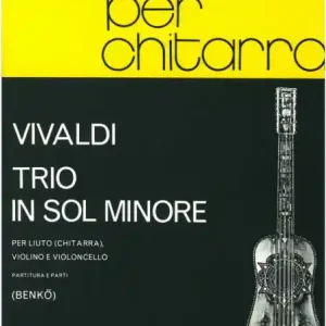 Neu Trio g-Moll für Laute (Gitarre), Violine und Violoncello