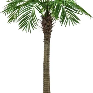 Europalms Phönixpalme luxor, Kunstpflanze, 150cm Garantierte Lieferung