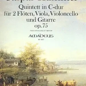 Quintett C-Dur op.75 für 2 Flöten, Viola, Violoncello und Gitarre Online Kaufen
